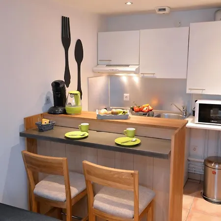 Le Cosy De La Petite Venise 公寓 科尔马